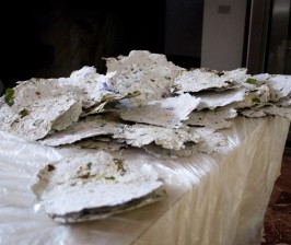 DSC_5011.jpg