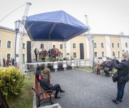 DSC_7703 jarmark.jpg
