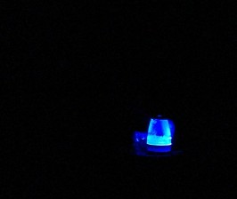 IMG_20181117_101051.jpg